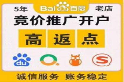 SEM广告投放中的创意策略成功案例